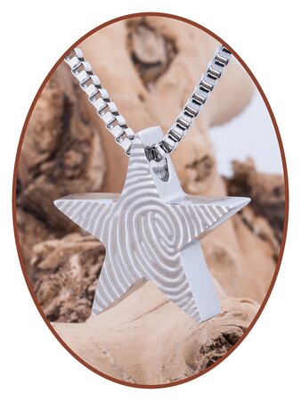 Stainless Steel 'Star' Fingerprint Cremation Pendant - B359V