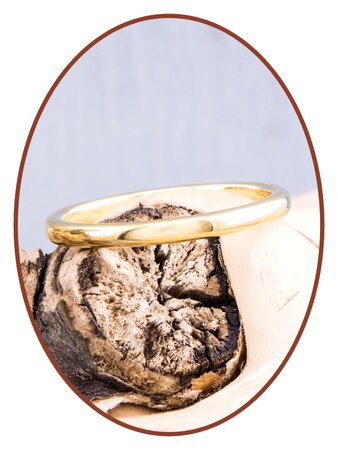 Tungsten Carbide Design Damen Ring 2mm Gold color - TU001G NOTE: NO ASHES CAN BE PLACED IN THIS RING