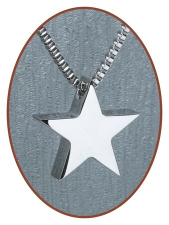 Stainless Steel 'Star' Cremation Pendant - B359